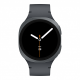Samsung Galaxy Watch 8 Smart Watch (bluetooth, 40mm) - Graphite Samsung Galaxy Watch 8 Smart Watch (bluetooth, 40mm) - Graphite
