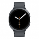 Samsung Galaxy Watch 8 Smart Watch (bluetooth, 44mm) - Graphite Samsung Galaxy Watch 8 Smart Watch (bluetooth, 44mm) - Graphite